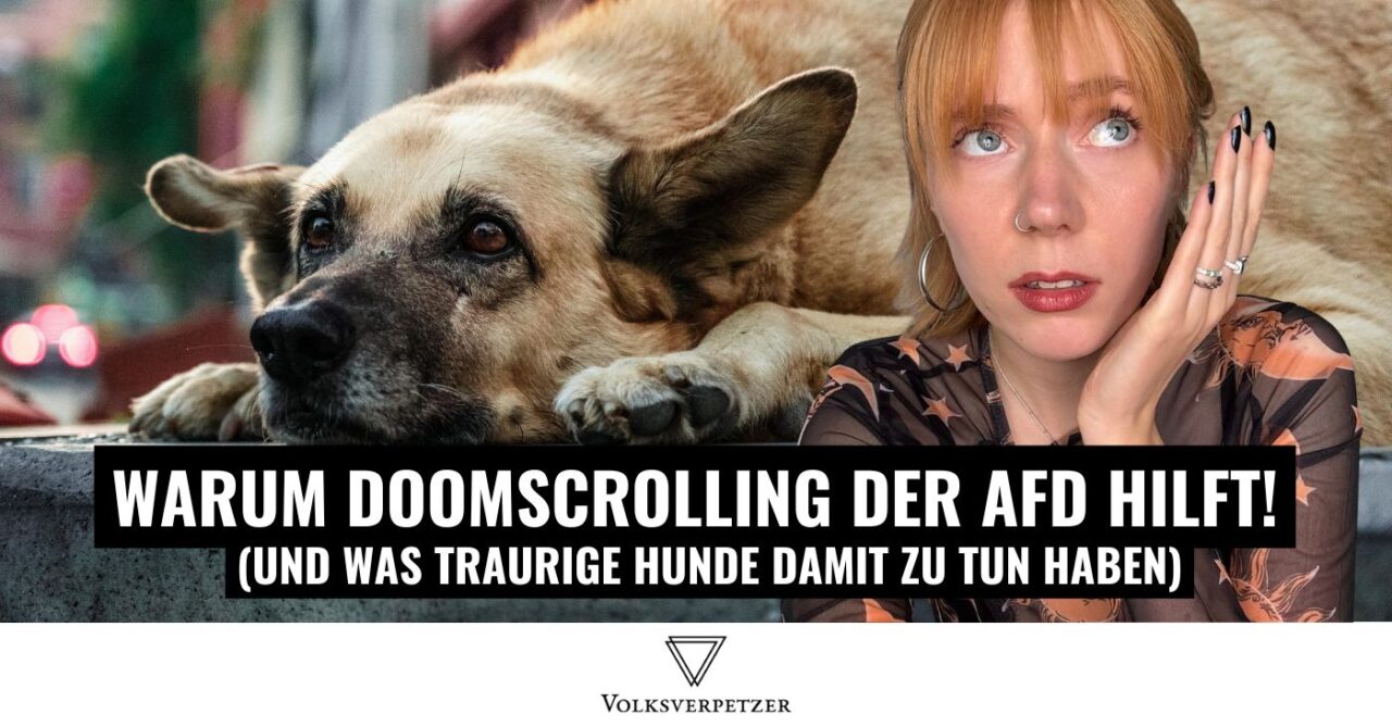 Achtung: Dein Doomscrolling hilft der AfD!