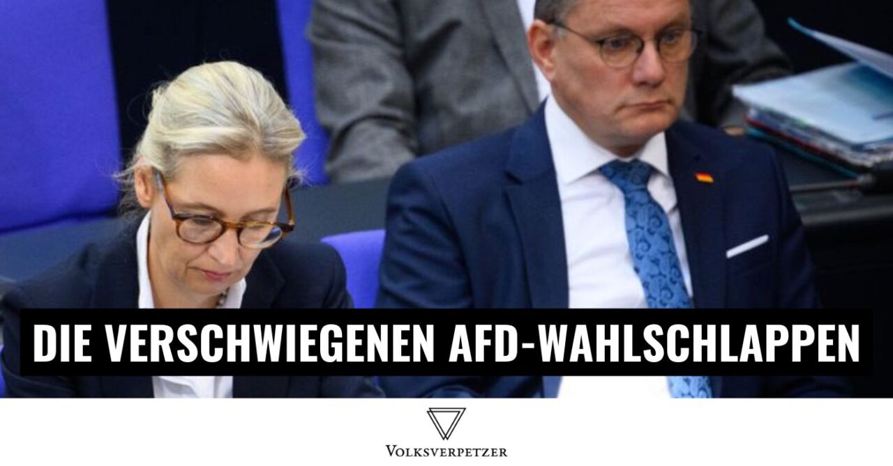 Warum kaum jemand über die vielen AfD-Wahlniederlagen spricht